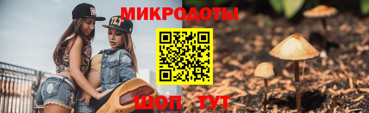 Псилоцибиновые грибы Psilocybine cubensis Якутск
